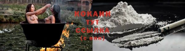 тгк Строитель