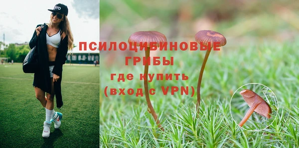 мяу мяу мука Ступино
