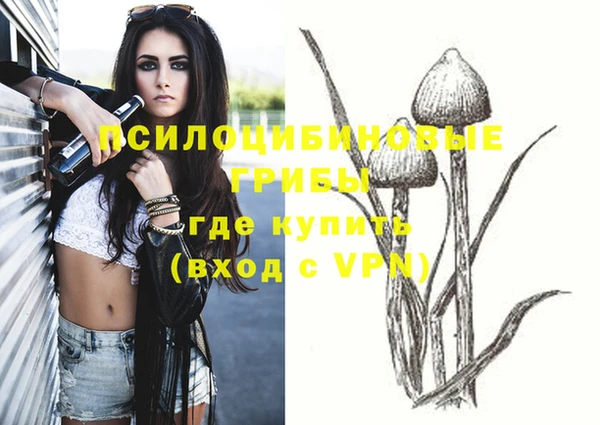 тгк Строитель