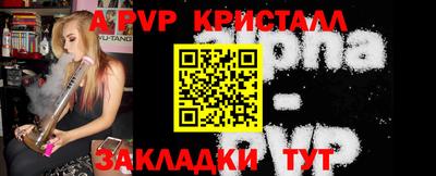 спайс Гатчина