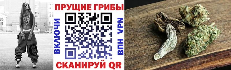 гидра рабочий сайт  как найти закладки  Электрогорск  Псилоцибиновые грибы GOLDEN TEACHER 