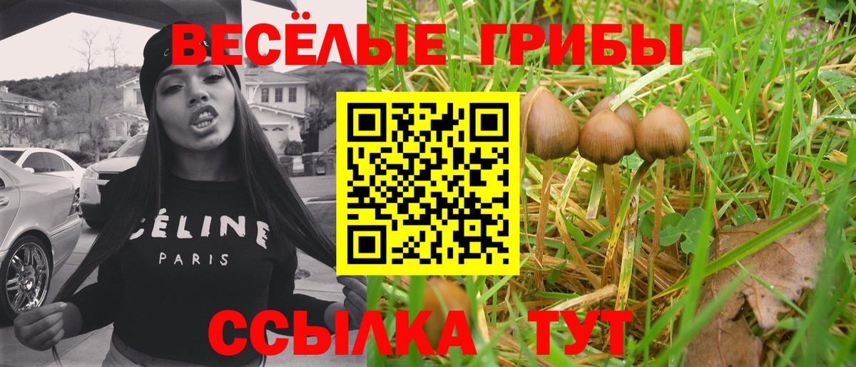 купить наркотик  Псилоцибиновые грибы Cubensis  Вход с VPN  Галлюциногенные грибы GOLDEN TEACHER  Электрогорск 