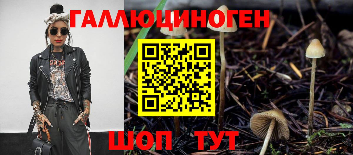 Галлюциногенные грибы мицелий Электрогорск