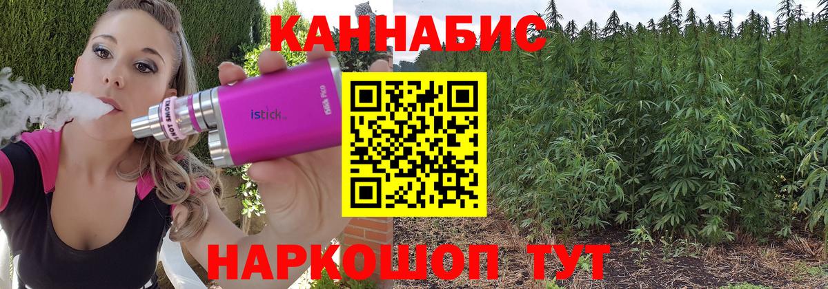 Конопля THC 21%  Электрогорск  Марихуана конопля  Бошки марихуана семена  Конопля гибрид 